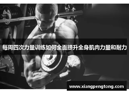 每周四次力量训练如何全面提升全身肌肉力量和耐力