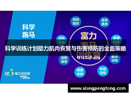 科学训练计划助力肌肉恢复与伤害预防的全面策略