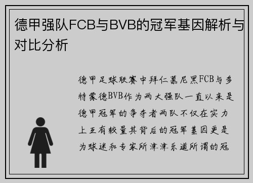 德甲强队FCB与BVB的冠军基因解析与对比分析